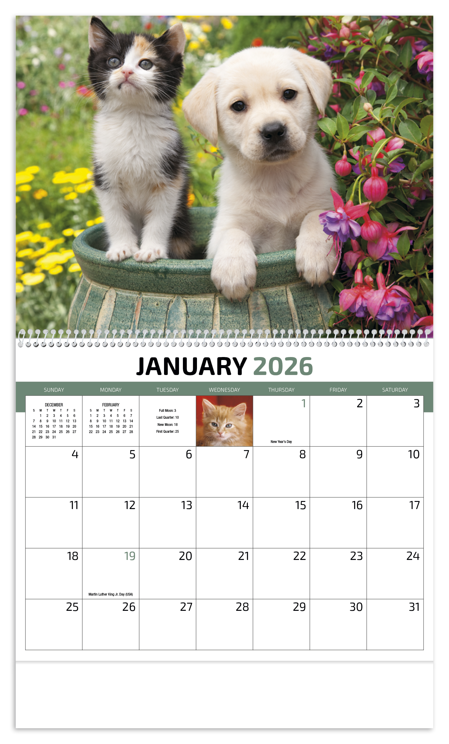 HotLine® Products Four Paws Appointment Calendar - Spiral 14