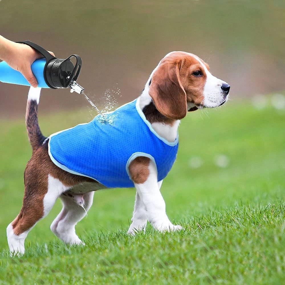 Breathable Dog Cooler Vest Jacket Cooling Coat 5