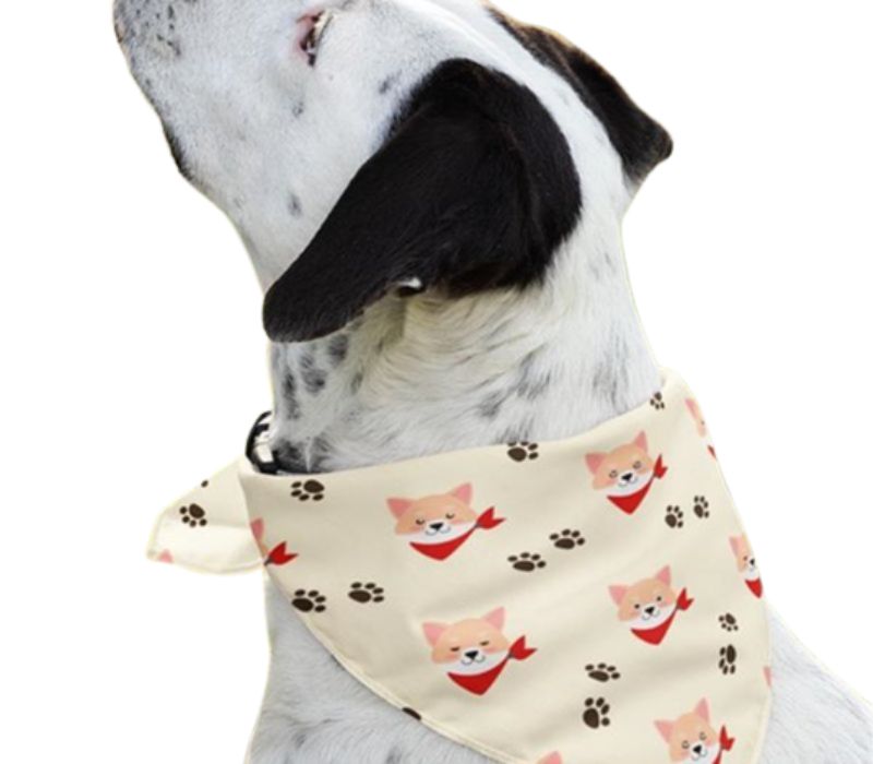 Polyester Hemmed Reusable Face Bandana 9