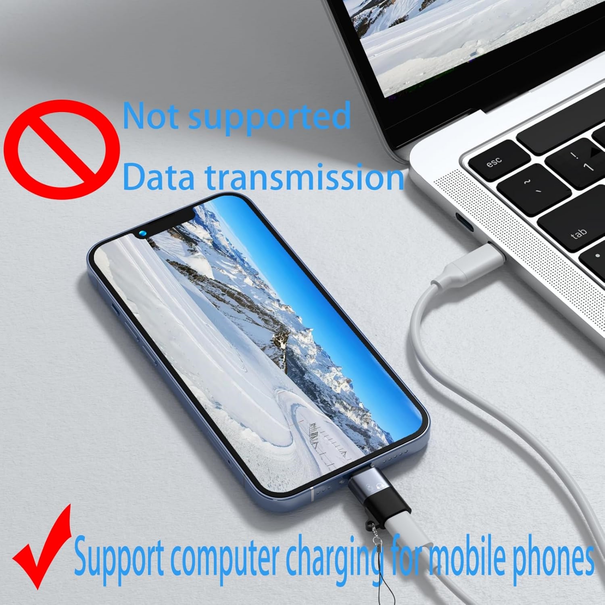 Type-C To Lighting Adapter 2