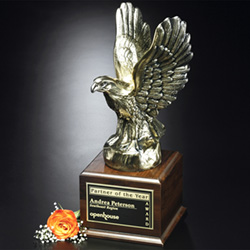 Fearless Eagle 3