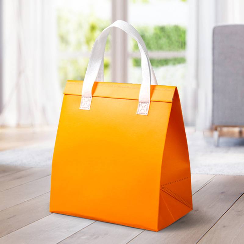 Insulated Take Away Bags 5