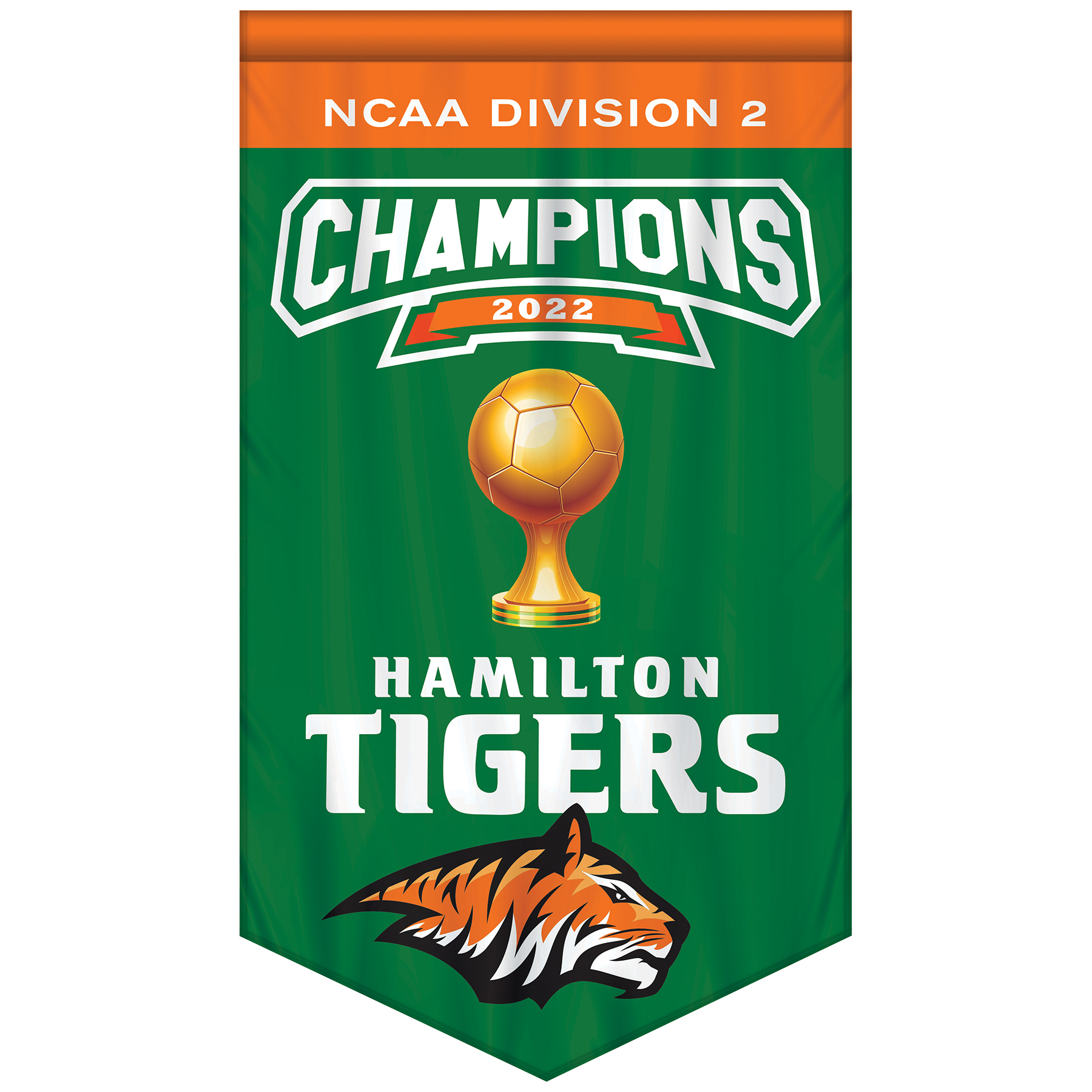 3' x 5' Championship Banner Double Sided V-Cut 2