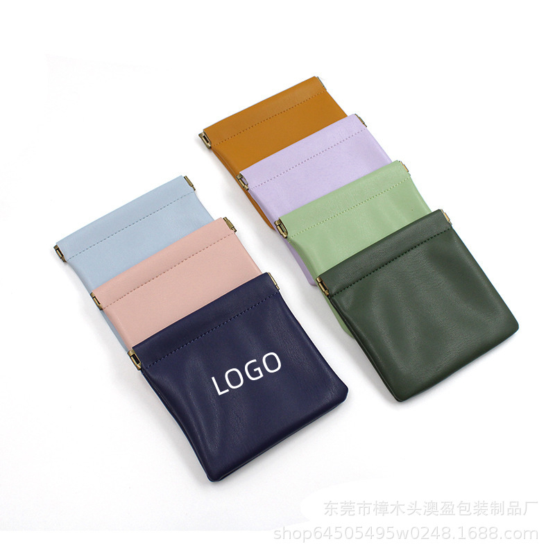 Clip Storage Bag 2