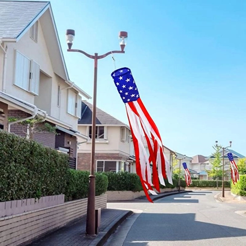 American Star Windsock 3