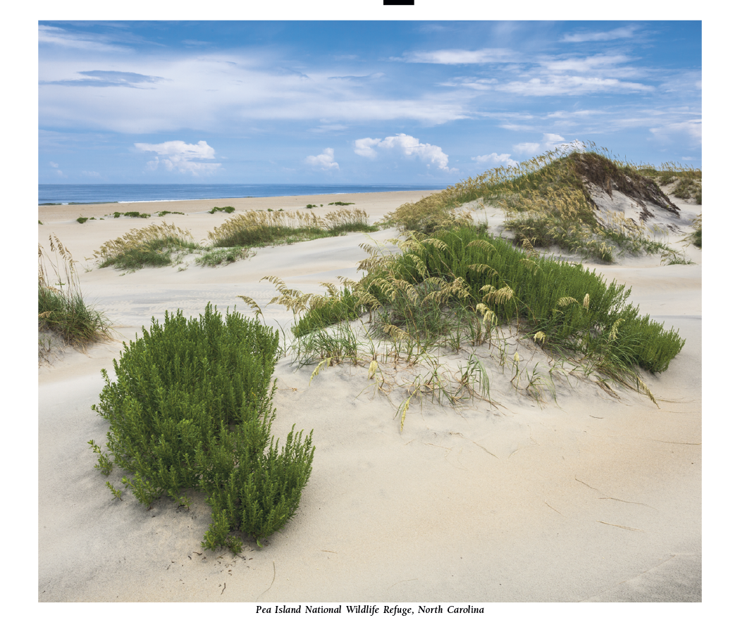 HotLine® Products Scenic America® Pocket Calendar 54