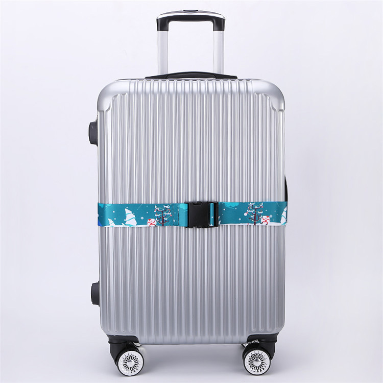 Luggage Belt 2