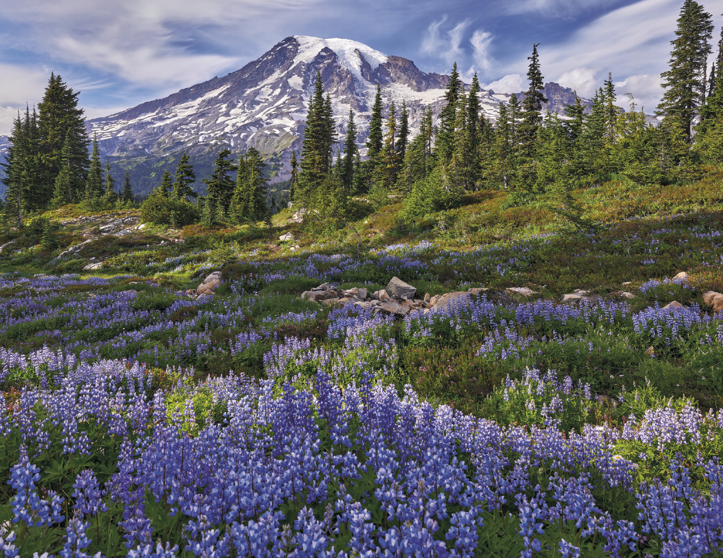 HotLine® Products Contemplations Appointment Calendar - Spiral 10