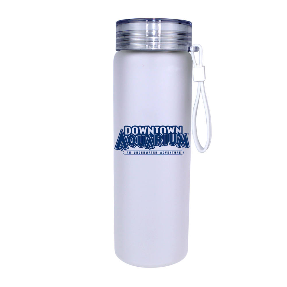 Halcyon® 20 oz. Frosted Glass Bottle with Screw on Lid 22