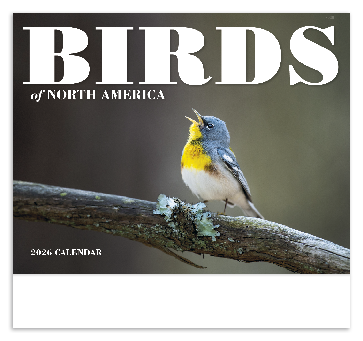 Good Value™ Birds of North America - Stapled Calendar 50