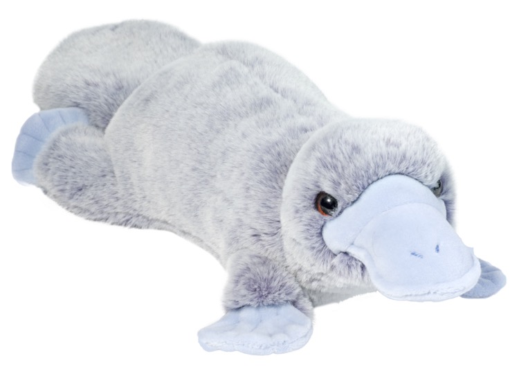 Allie Platypus Soft 1