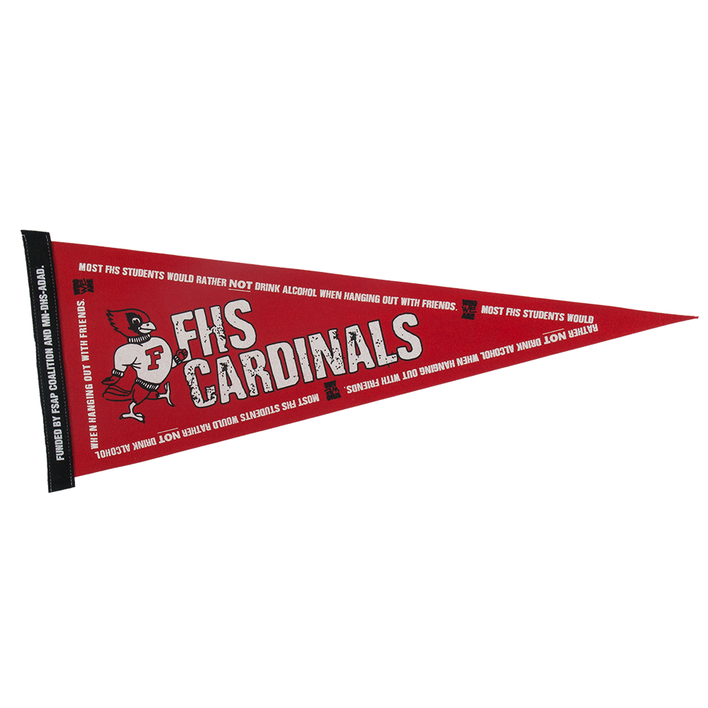 9" x 24" Colored Felt Pennant 9