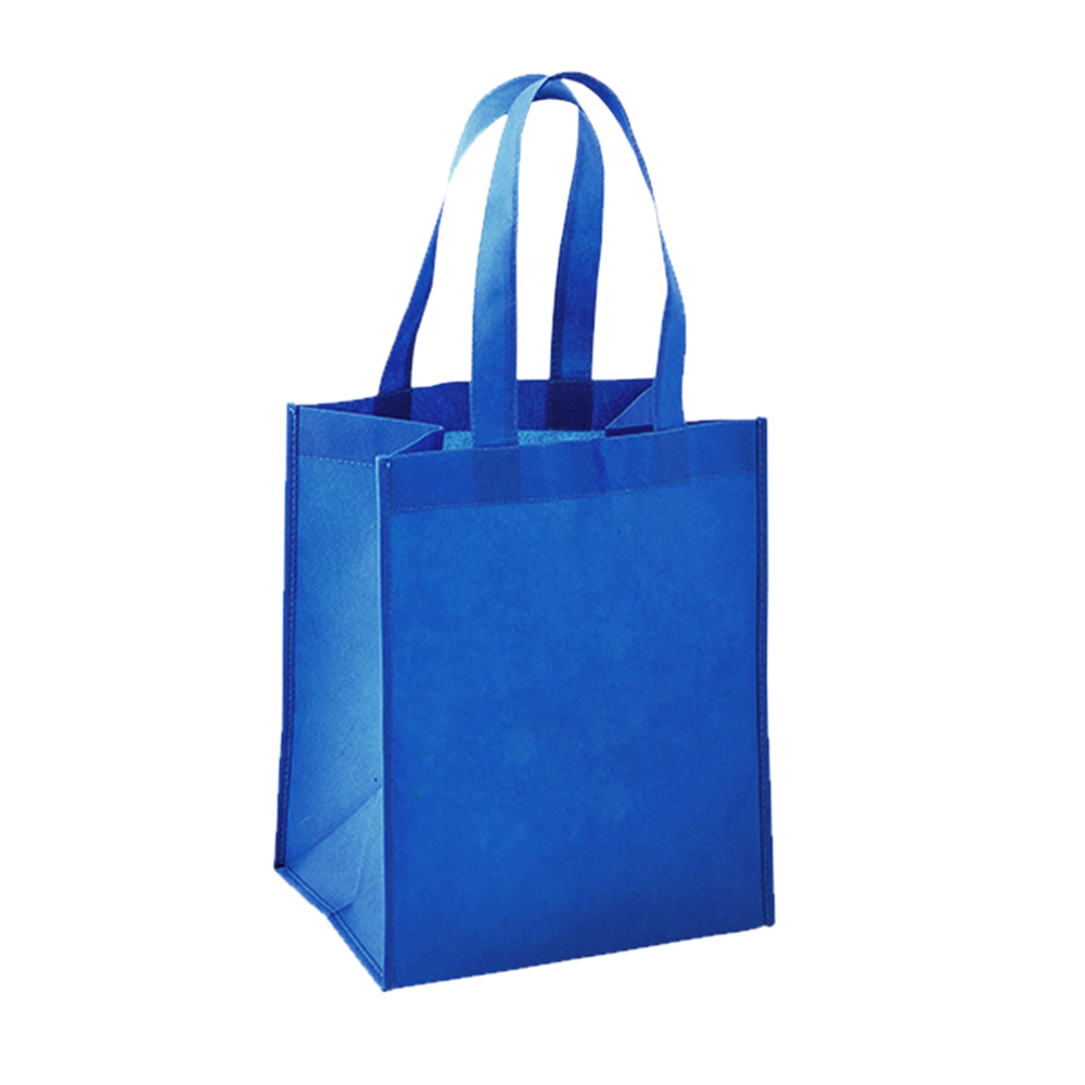 Reusable Shopper Tote Bag 13