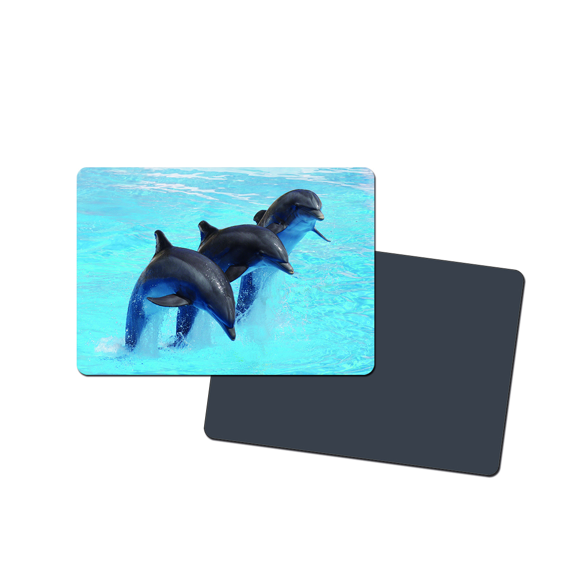 Business Card Magnet 2