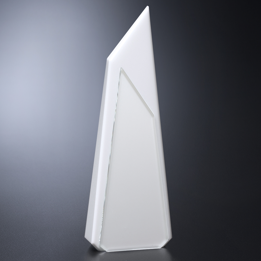 Hanover Award 8