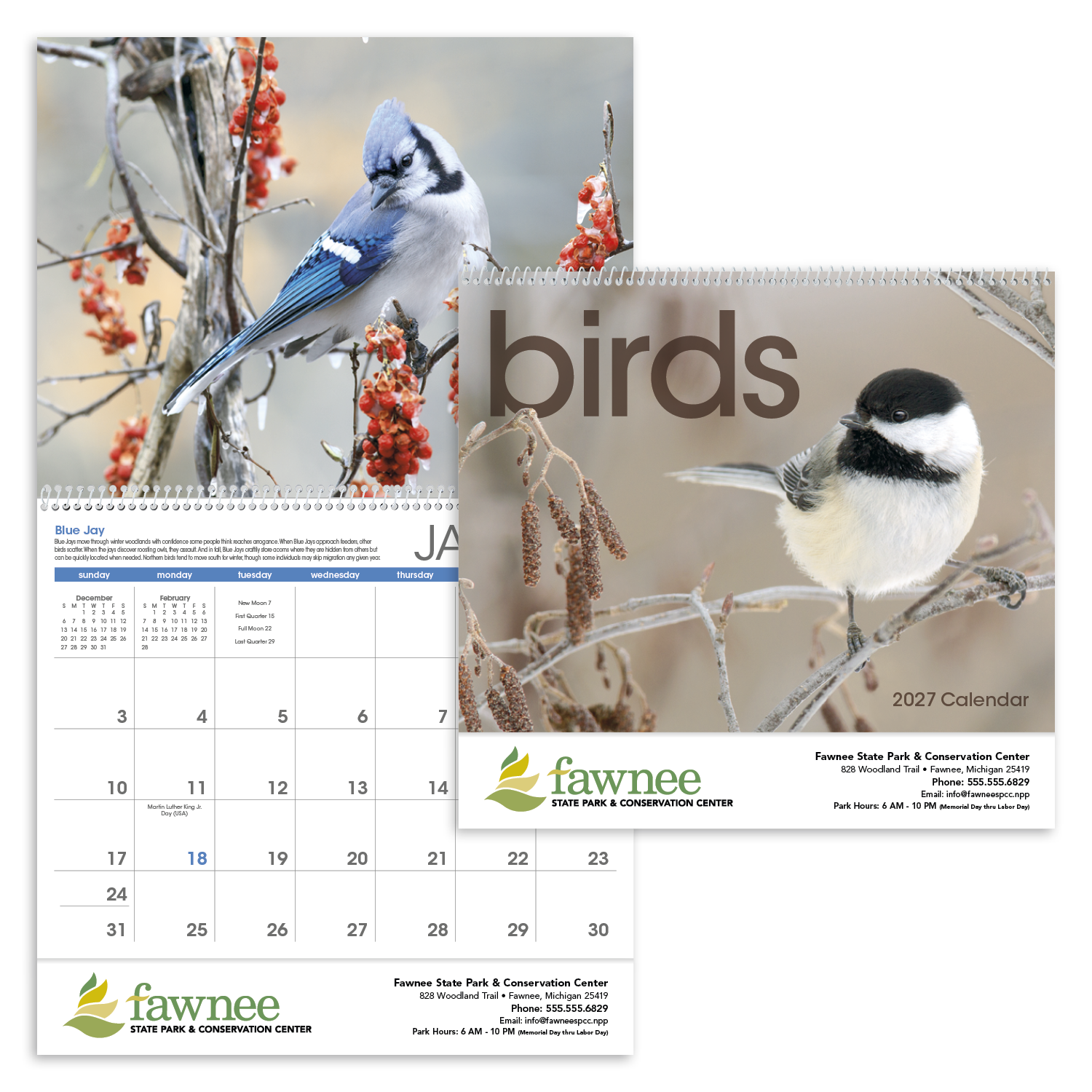 Triumph® Calendars Birds Calendar 65