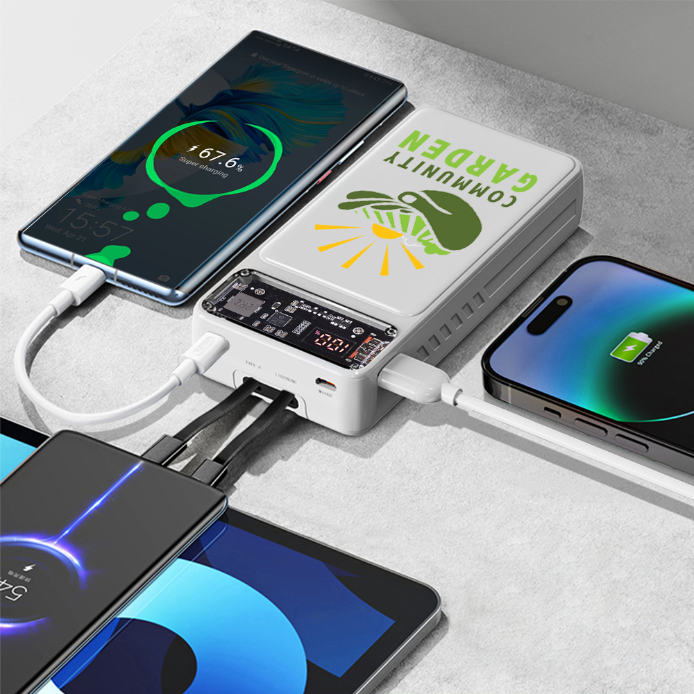 Winnetka Transparent Corded Power Bank 20000 7