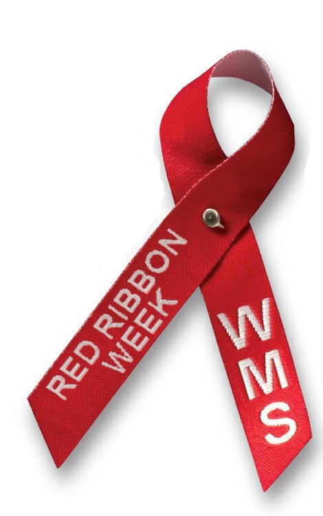 Awareness Ribbons - Unassembled