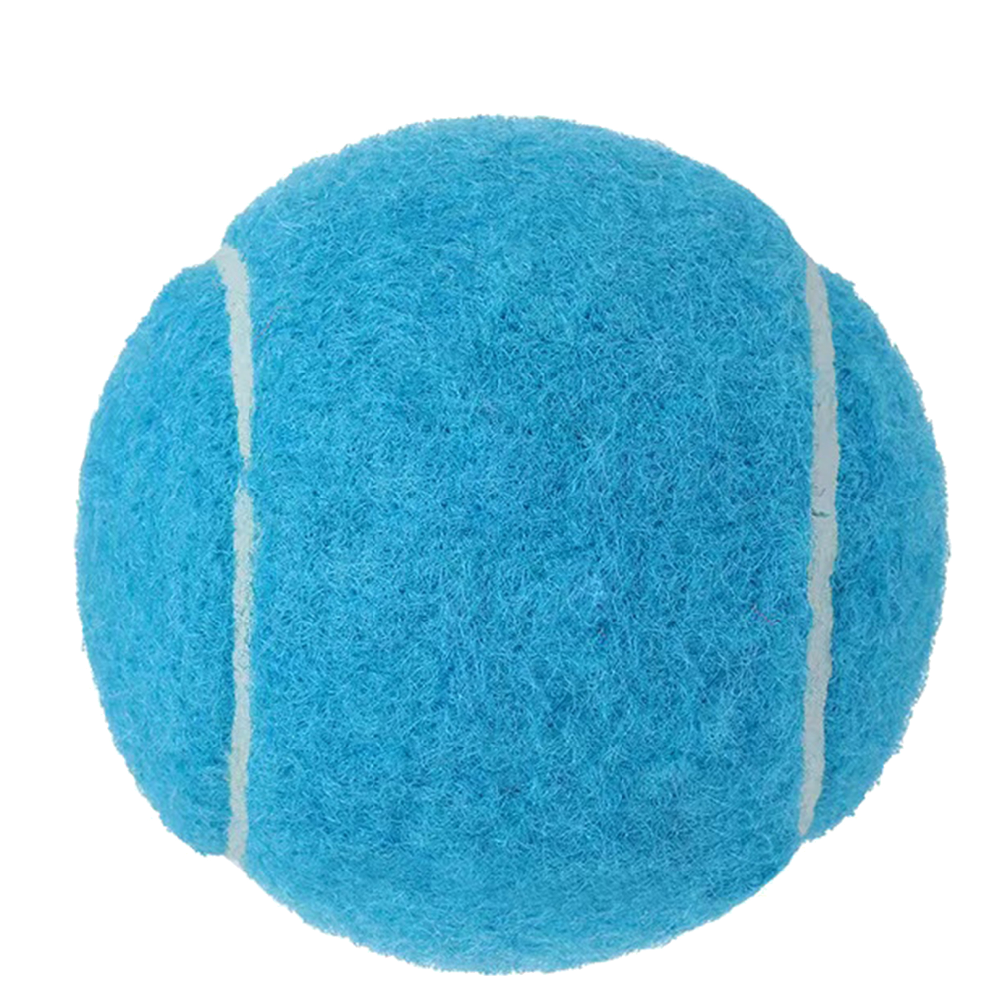 Customizable Dog Play Ball 12