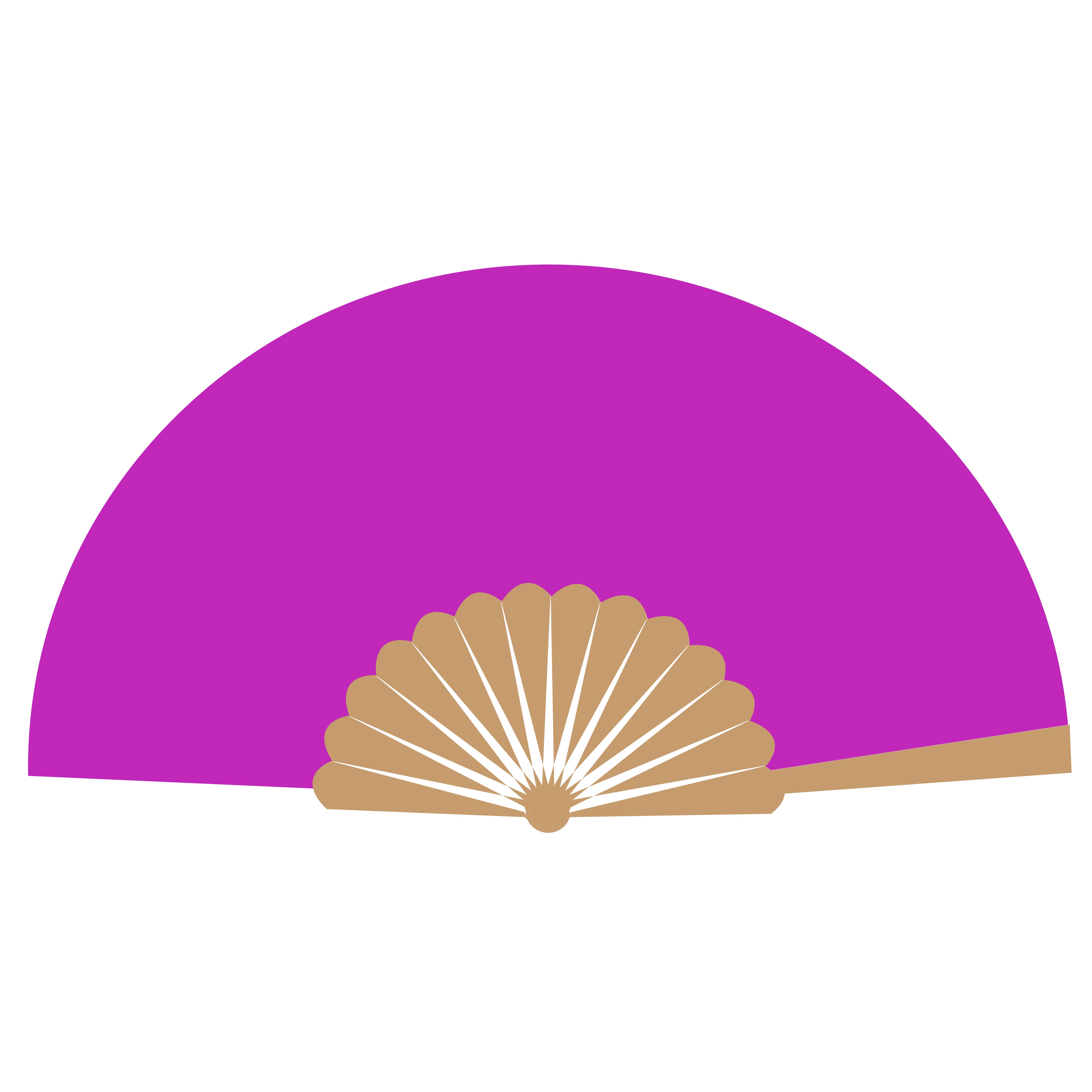 Fancy Bamboo Hand Fan - Full Color 16