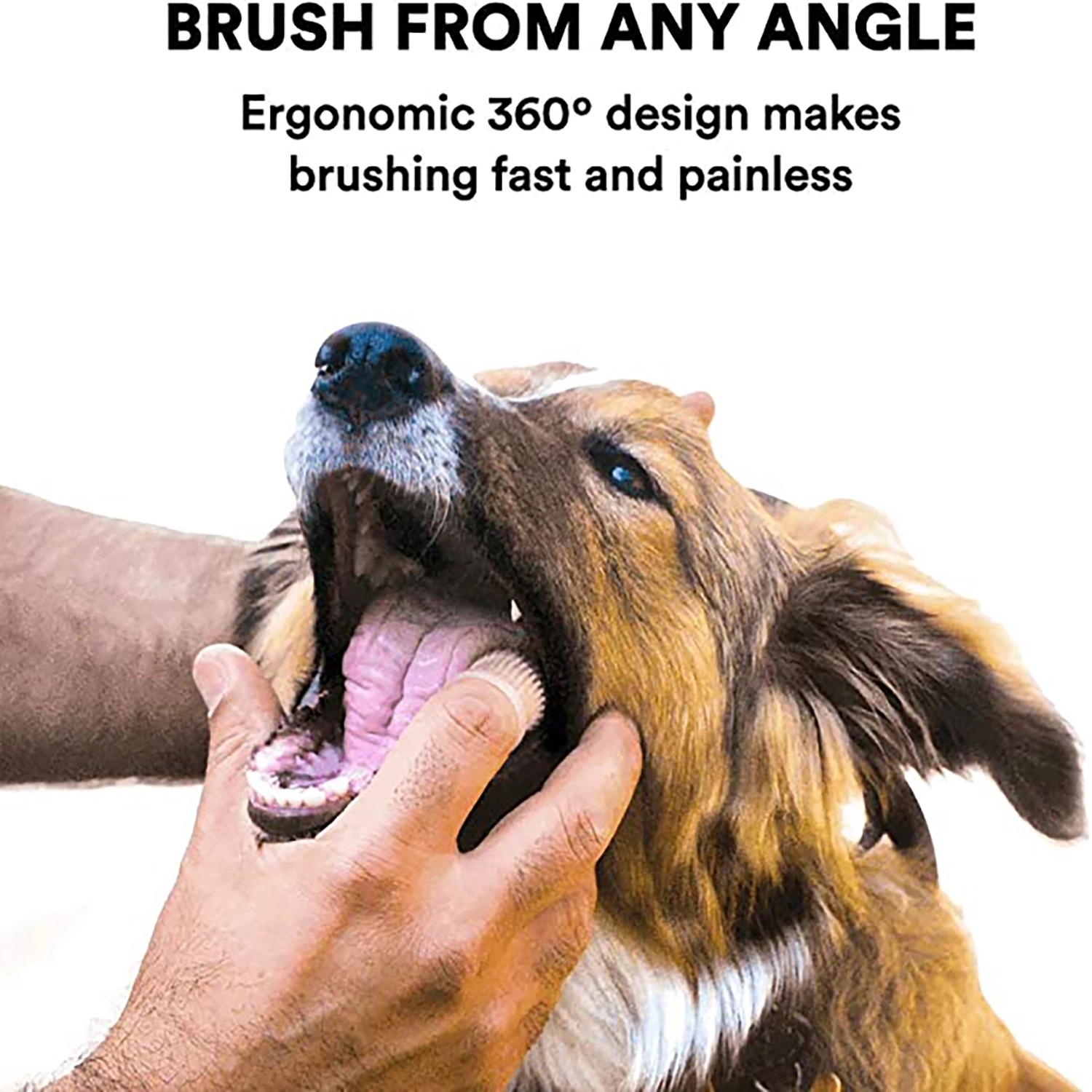 Silicone Pet Toothbrush 2