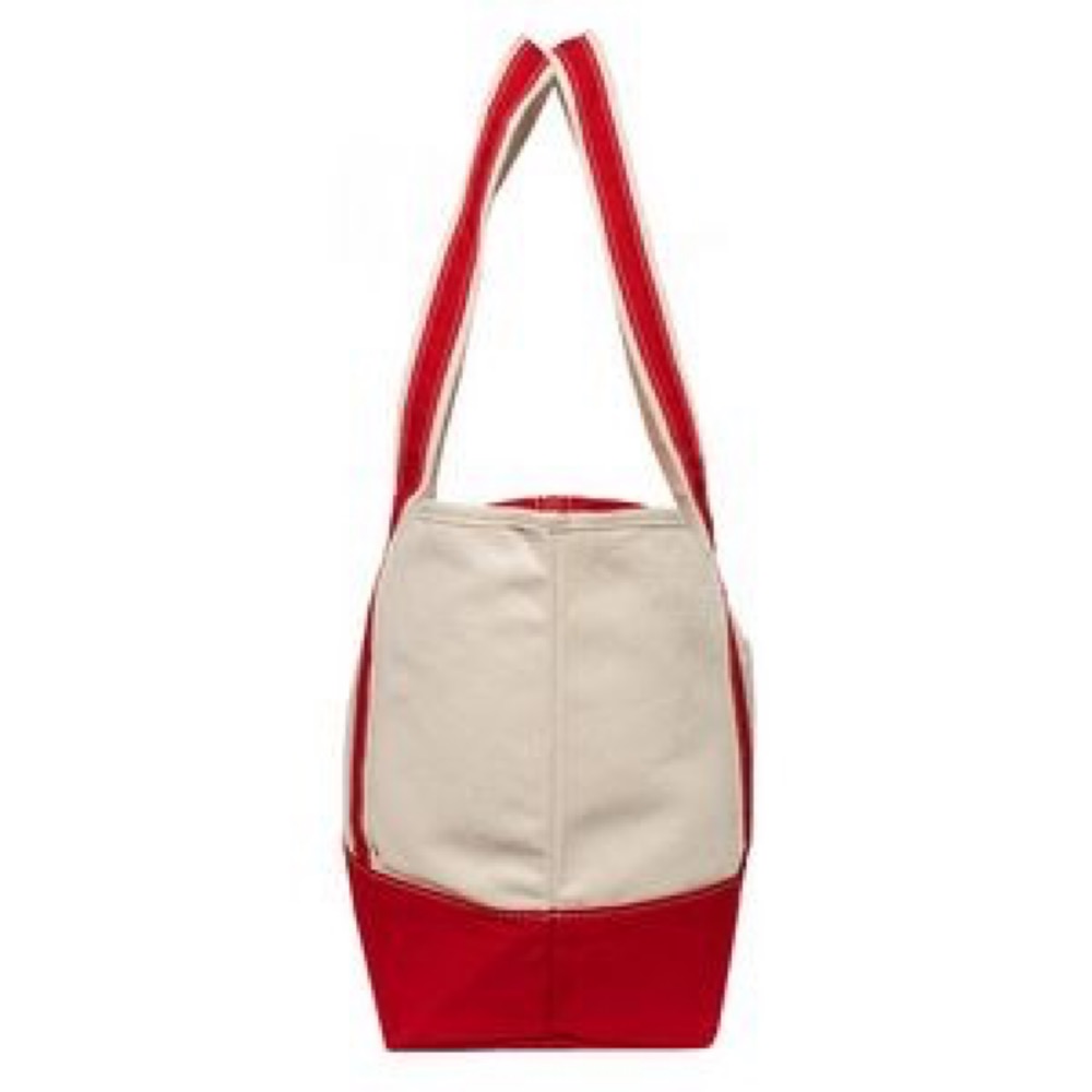 Pet Carry Tote Medium 4