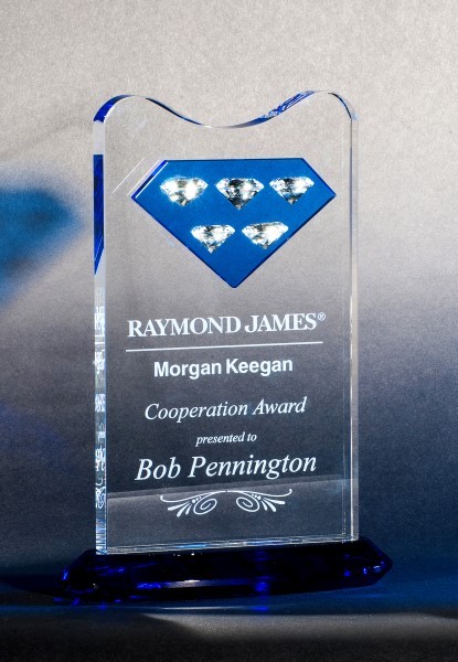 Contemporary Vistas Crystal High Five Award 2