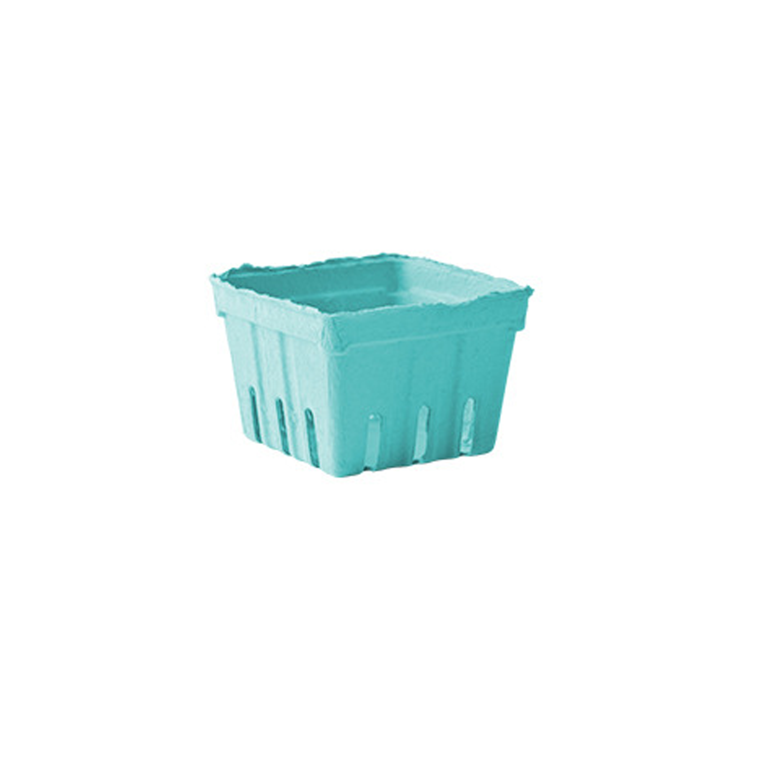 Bio-Degradable Fruit Basket 10