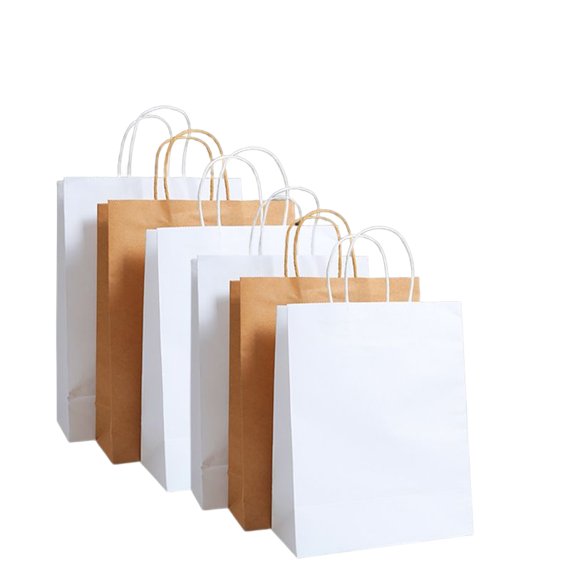 Carry Bags 2