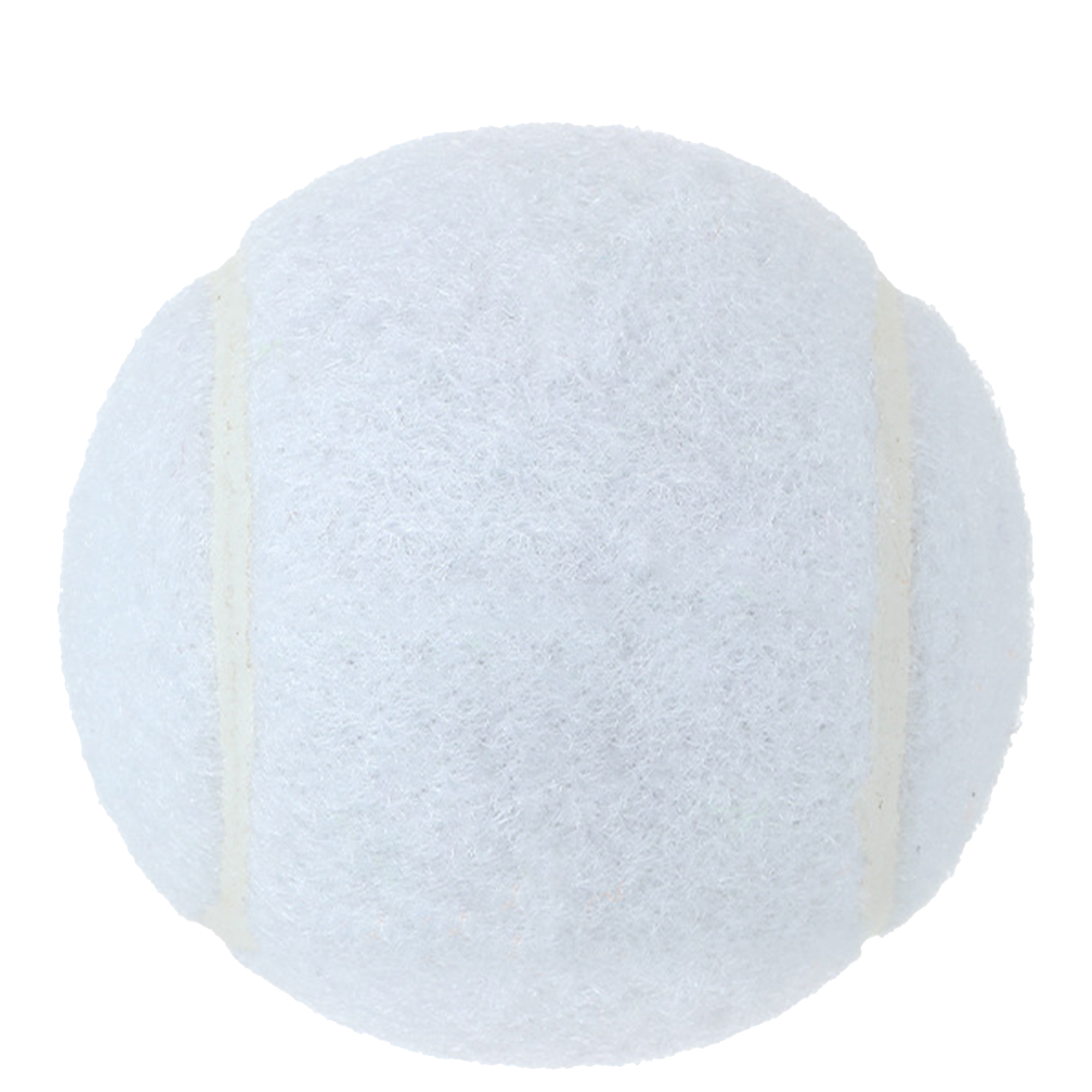 Customizable Dog Play Ball 13