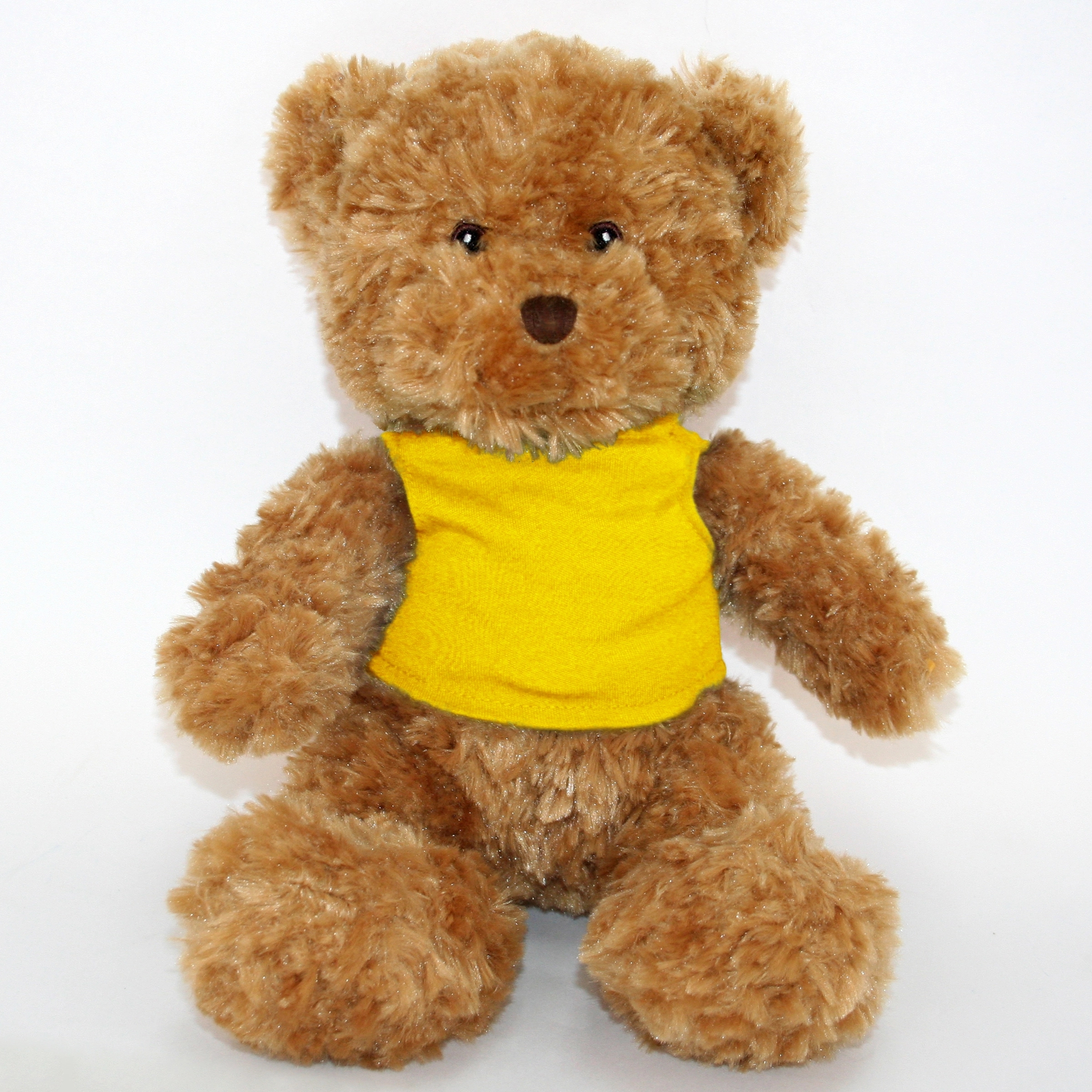 12" Golden Bear 13