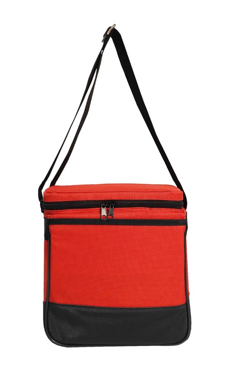 Deluxe 12-Can Cooler 1