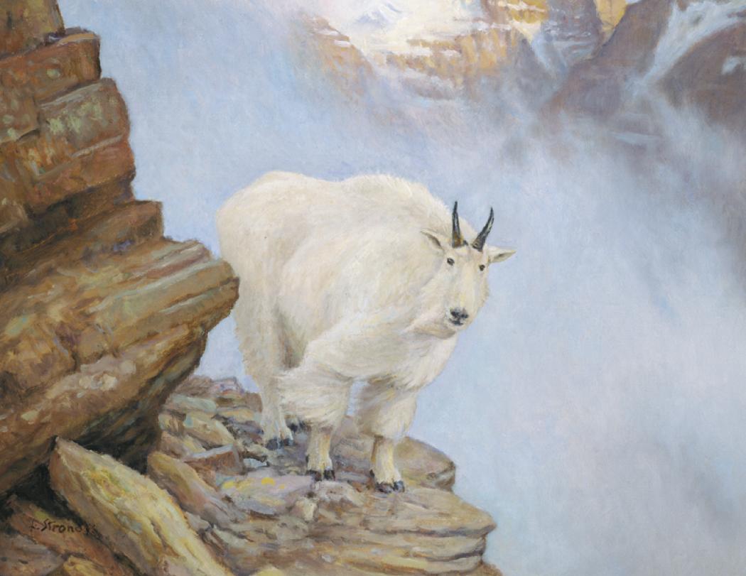 Triumph® Calendars Wildlife Art Calendar 92