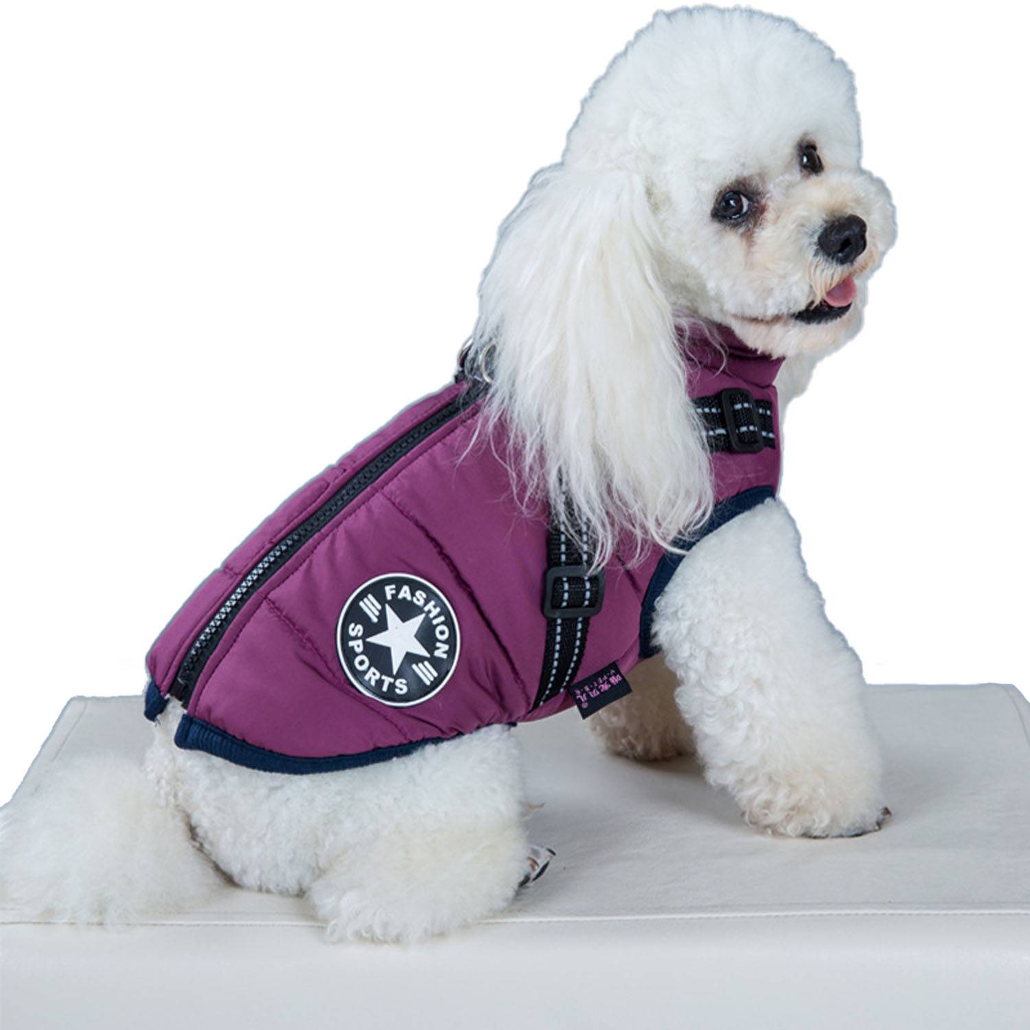 Cotton-Padded Dog Vest 3