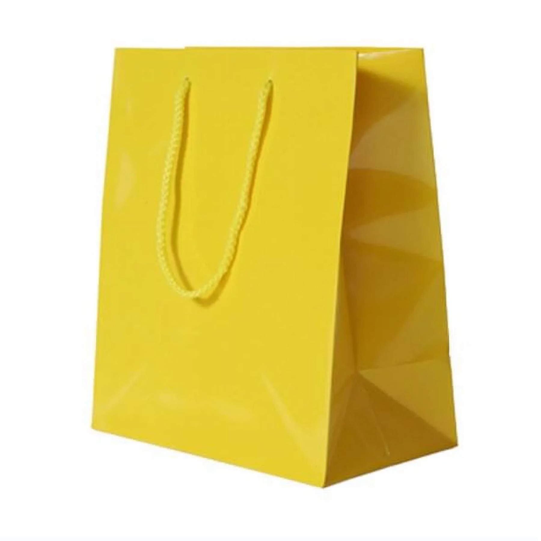 Paper Glossy Gift Bags 2