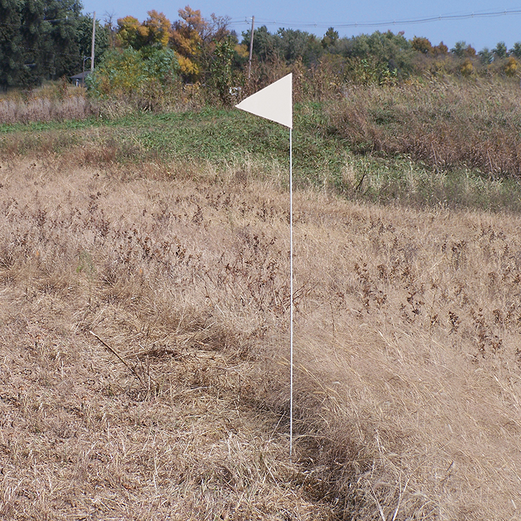 Solid Color White Pennant Field Flag w/White Staff 2