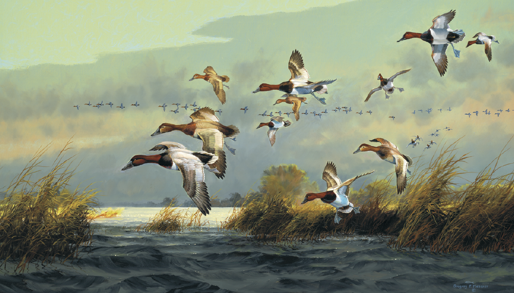Triumph® Calendars North American Waterfowl Calendar 26