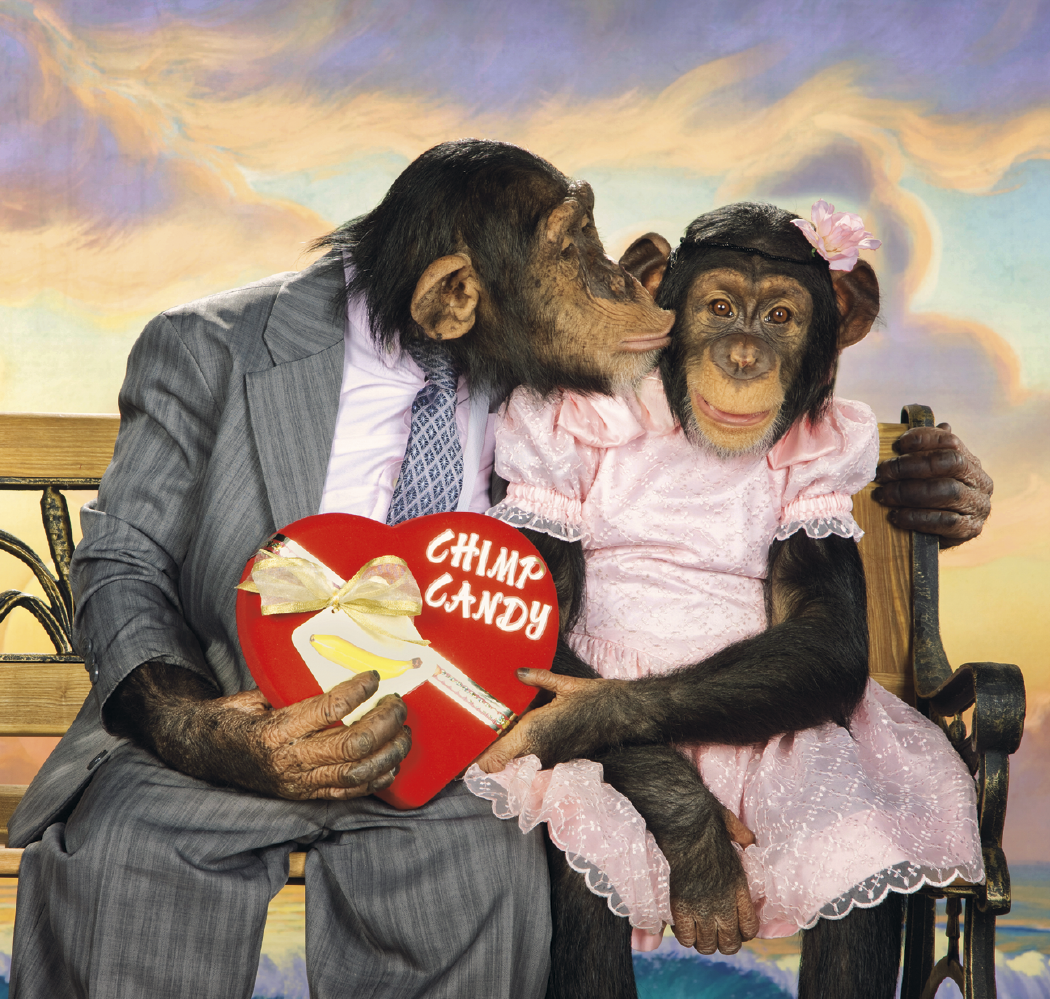 Triumph® Calendars Monkey Business Calendar 33