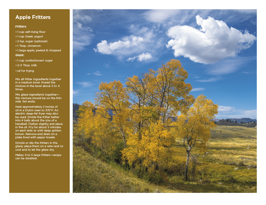 Triumph® Calendars America the Beautiful with Recipes Calendar 76