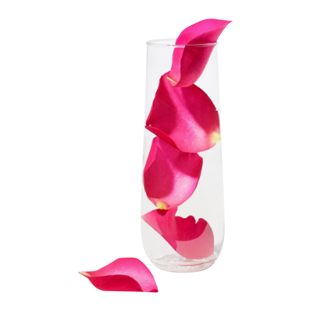 9oz Plastic Stemless Champagne Flute 6