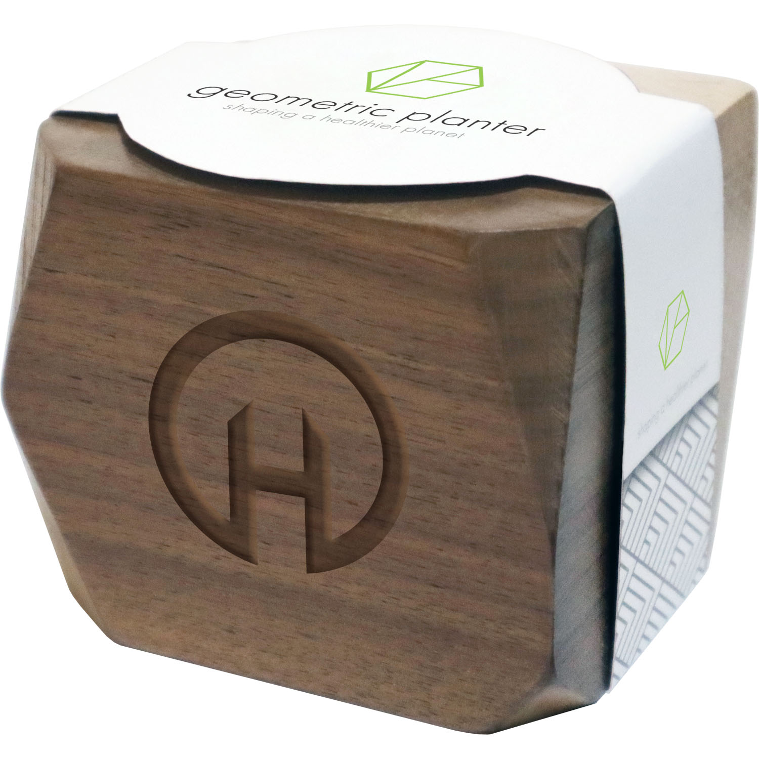 Geometric Wooden Planter 3