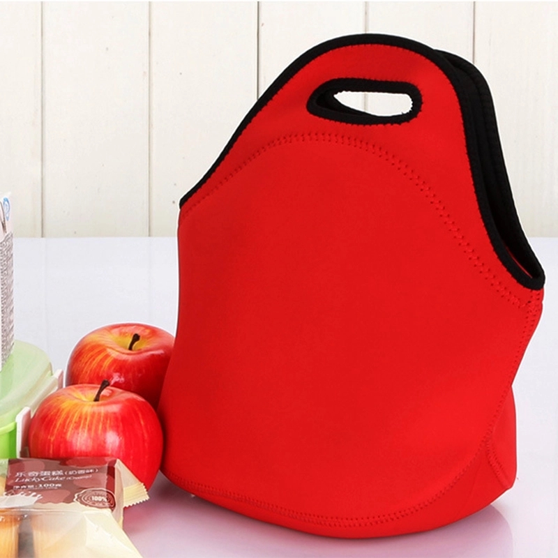 Lunch Tote Bags for Women 9