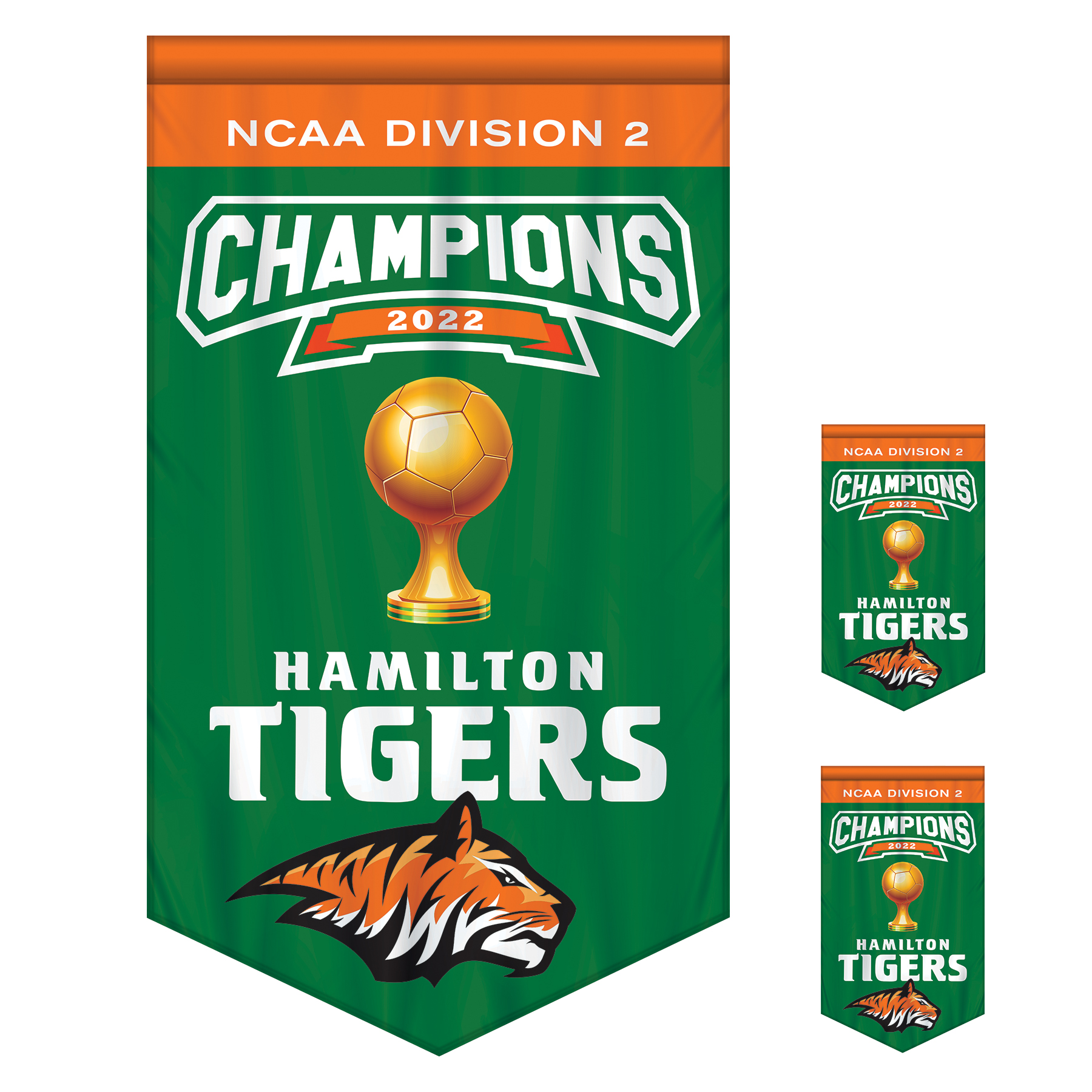 3' x 5' Championship Banner Double Sided V-Cut 5
