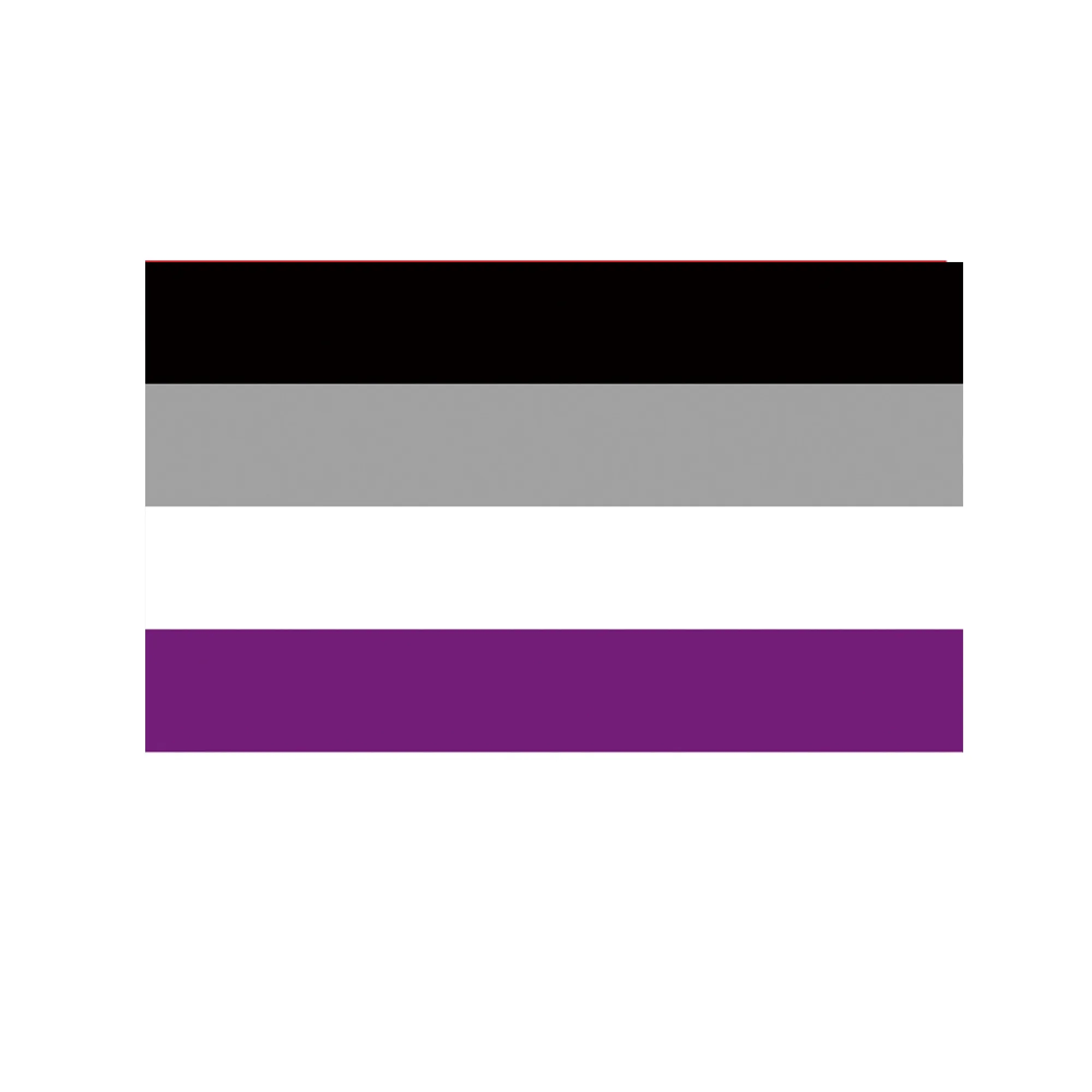 LGBTQ Pride Hand Held Rainbow Flag 4