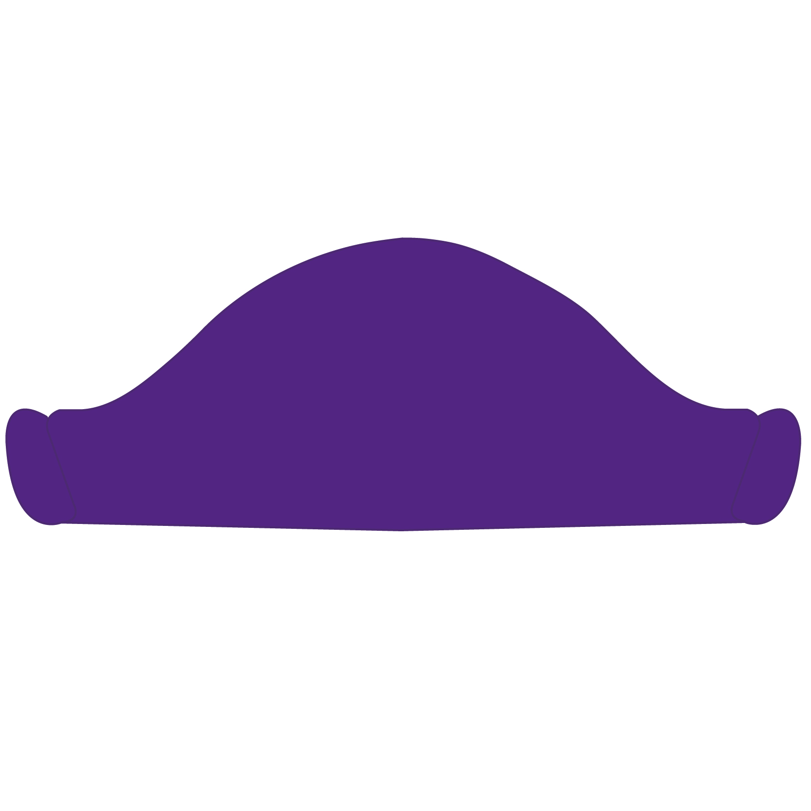 Pirate Hat 16