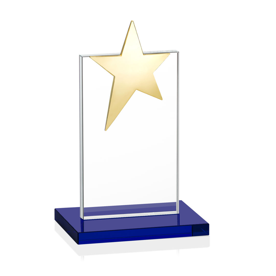 Bryanston Gold Star VividPrint™ Award - Blue 13