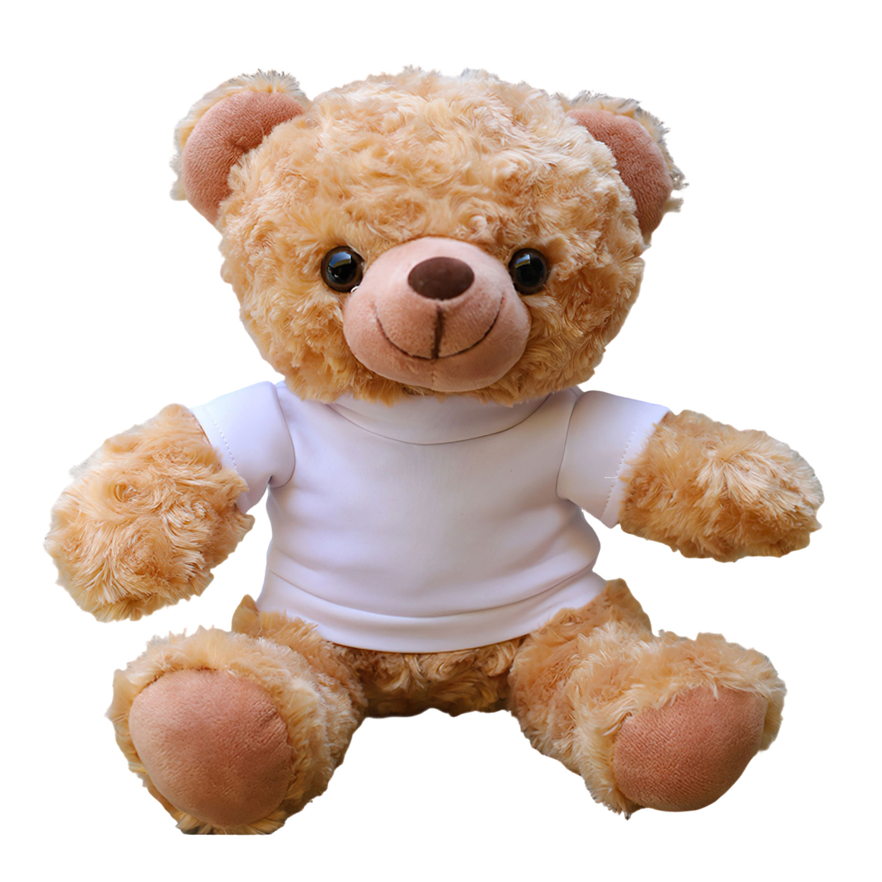 11'' Seated Style Stuffed Plush Teddy Beat With T-shirt 9