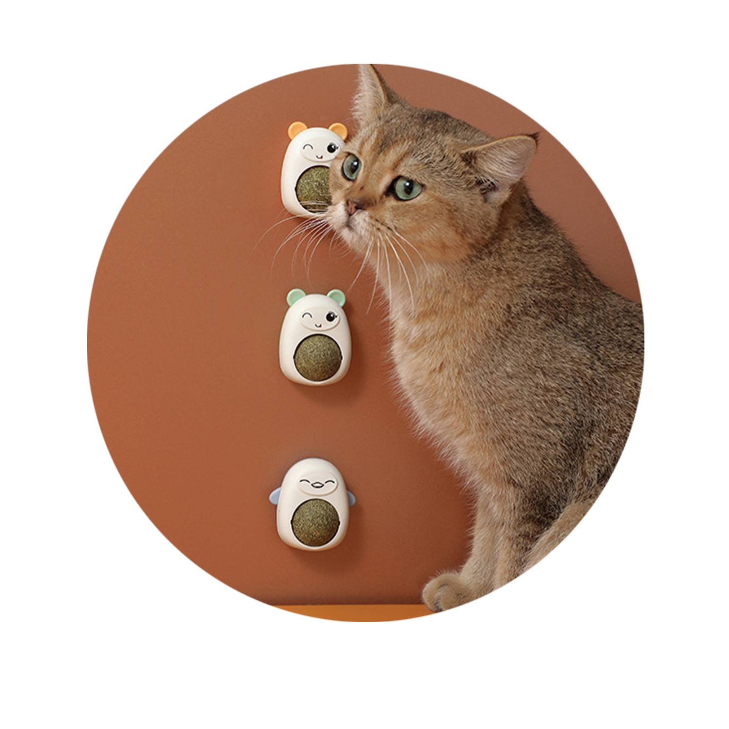 Rotating Cat Mint Ball Tooth Grinding Toys 5