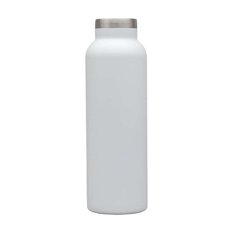 Splendid 22 oz. Double Wall Stainless Steel Bottle 41