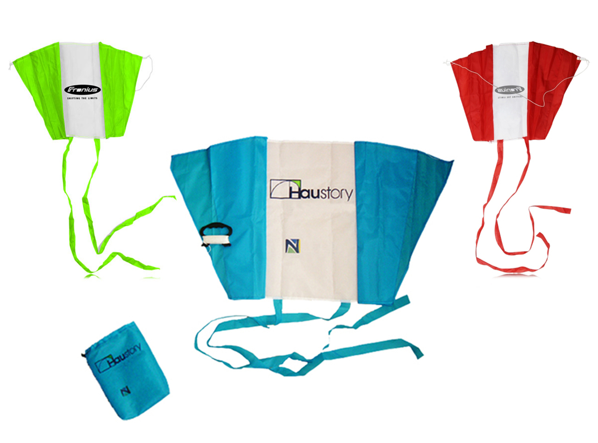 Economy Folding Eagle Kite W/ Pouch 4